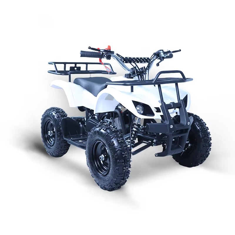 49cc Mini ATV Kids Quad Bike 2 - огляд і ціна Kids Outdoor Ride On