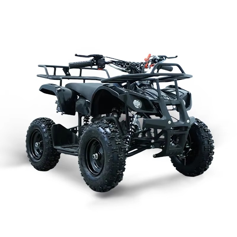 49cc Mini ATV Kids Quad Bike 2 - огляд і ціна Kids Outdoor Ride On